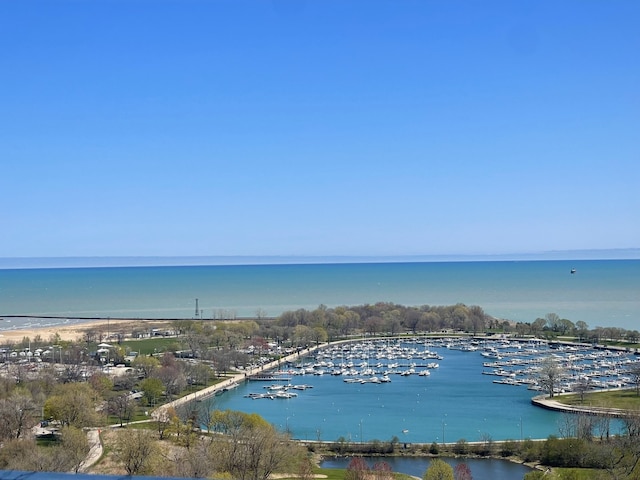4250 N Marine Dr Unit 2607, Chicago, IL 60613 - water view