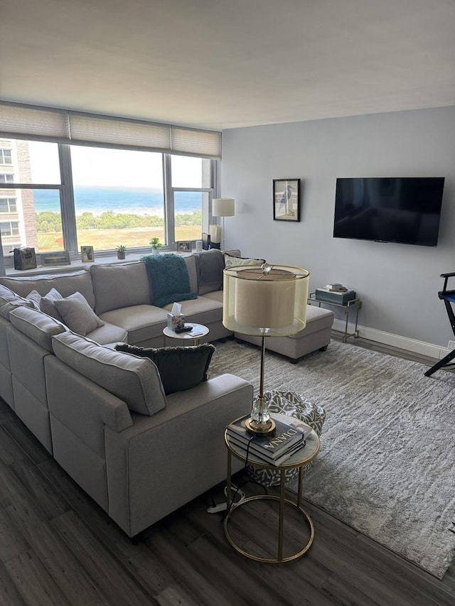 4250 N Marine Dr Unit 2607, Chicago, IL 60613 - living area with wood finished floors