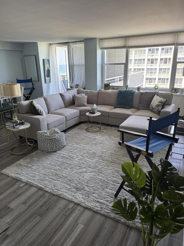 4250 N Marine Dr Unit 2607, Chicago, IL 60613 - living area featuring wood finished floors