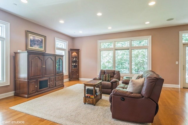 706 French Way Unit 2, Mount Prospect, IL 60056 - living area with light wood-type flooring and recessed lighting