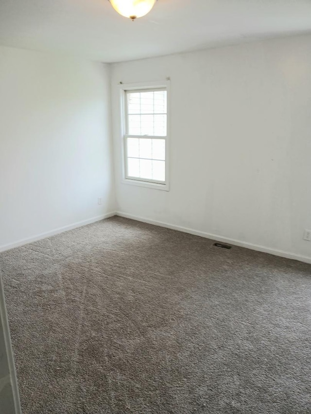 313 Manning Dr, Dekalb, IL 60115 - empty room with carpet flooring and baseboards