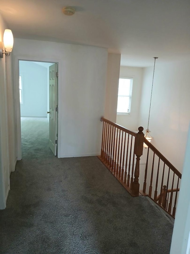 313 Manning Dr, Dekalb, IL 60115 - hallway with carpet floors