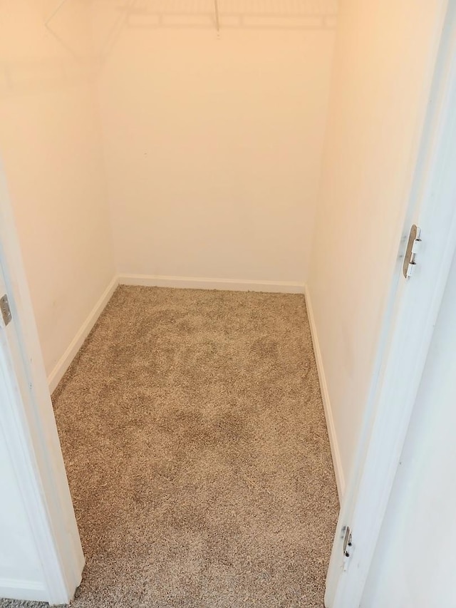 313 Manning Dr, Dekalb, IL 60115 - walk in closet with carpet floors