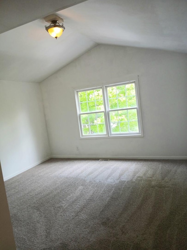 313 Manning Dr, Dekalb, IL 60115 - bonus room with carpet and lofted ceiling