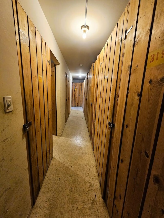 3300 N Carriageway Dr Unit 307, Arlington Heights, IL 60004 - view of hall