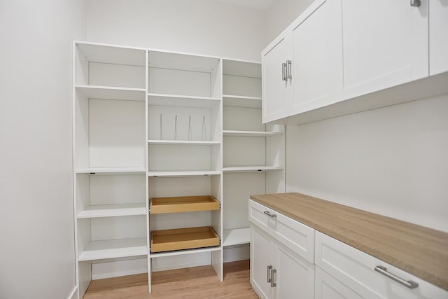 5041 N Octavia Ave, Harwood Heights, IL 60706 - view of storage area