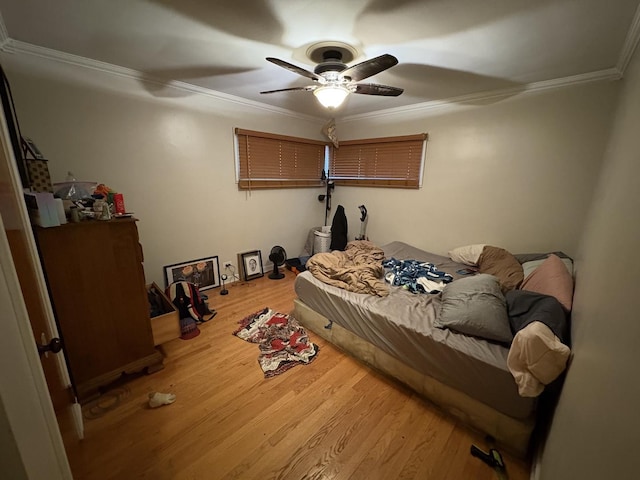 2619 Alexander St, Homewood, IL 60430 - photo 7