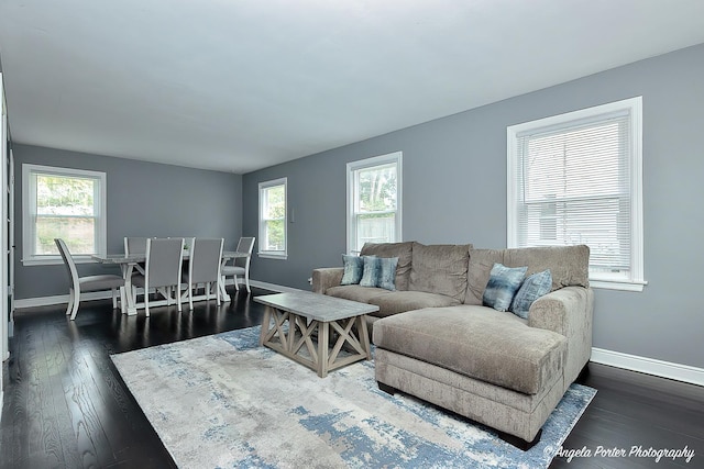 482 S Alfred Ave, Elgin, IL 60123 - living room with dark wood-style floors