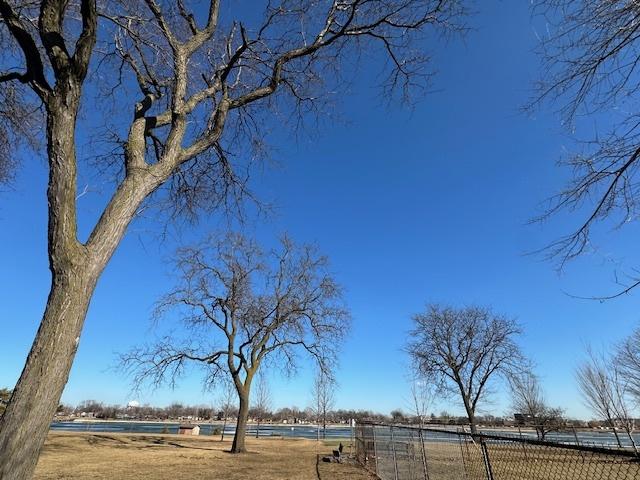 903 Jarvis Ave, Des Plaines, IL 60018 - view of yard