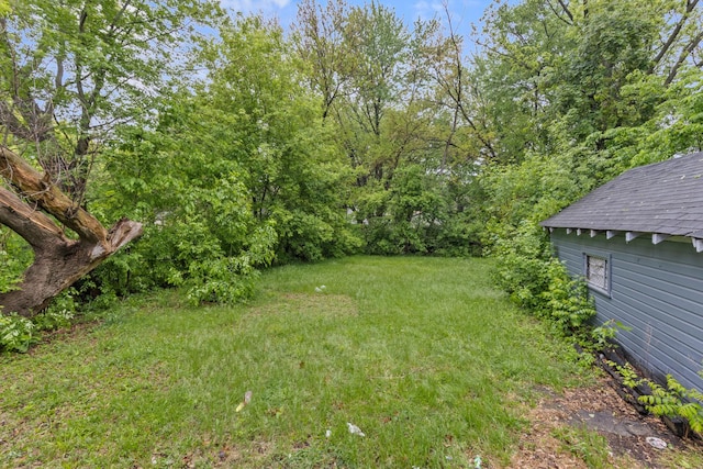 1121 Blaisdell St, Rockford, IL 61101 - view of green lawn