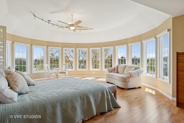 10603 Royal Porthcawl Dr, Naperville, IL 60564 - bedroom featuring light wood-style flooring, rail lighting, and ceiling fan