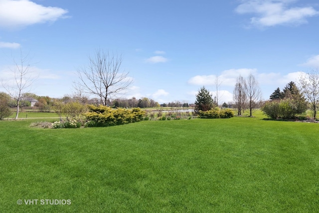 10603 Royal Porthcawl Dr, Naperville, IL 60564 - view of grassy yard