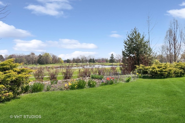 10603 Royal Porthcawl Dr, Naperville, IL 60564 - view of grassy yard featuring a water view
