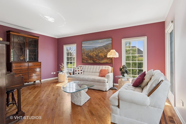 10603 Royal Porthcawl Dr, Naperville, IL 60564 - living area with crown molding and wood finished floors