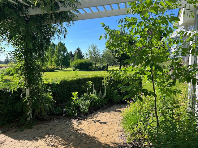 10603 Royal Porthcawl Dr, Naperville, IL 60564 - view of yard with a patio