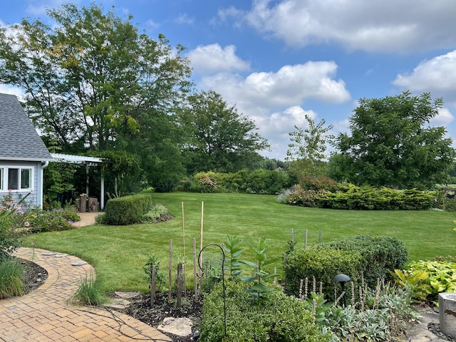 10603 Royal Porthcawl Dr, Naperville, IL 60564 - view of green lawn