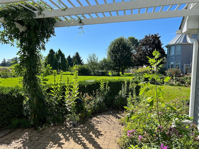 10603 Royal Porthcawl Dr, Naperville, IL 60564 - view of patio / terrace with a pergola and view of scattered trees