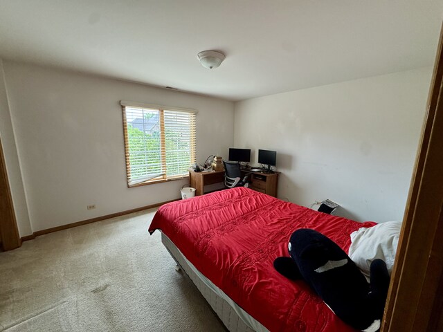 847 Sunrise Dr, South Elgin, IL 60177 - photo 15