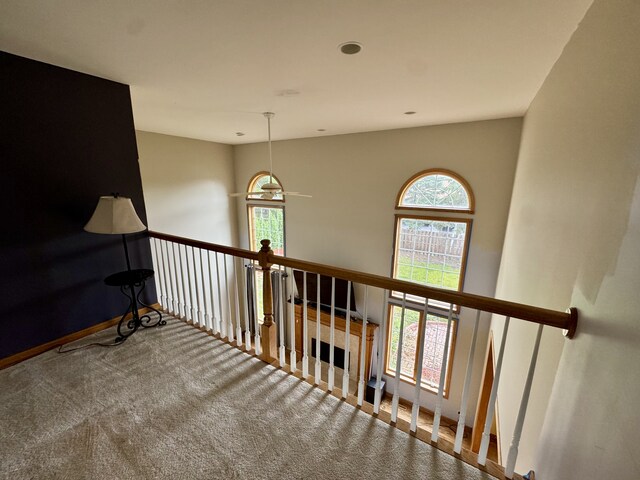 847 Sunrise Dr, South Elgin, IL 60177 - photo 23
