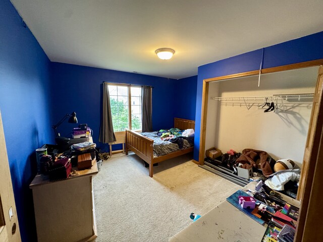 847 Sunrise Dr, South Elgin, IL 60177 - photo 26