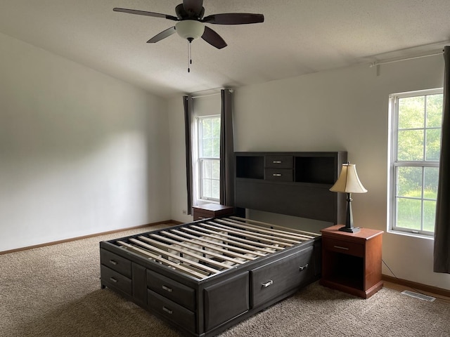 3S043 Timber Dr Unit 043, Warrenville, IL 60555 - bedroom featuring light carpet and ceiling fan