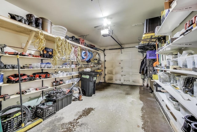 206 Country Ln, Des Plaines, IL 60016 - garage featuring a garage door opener