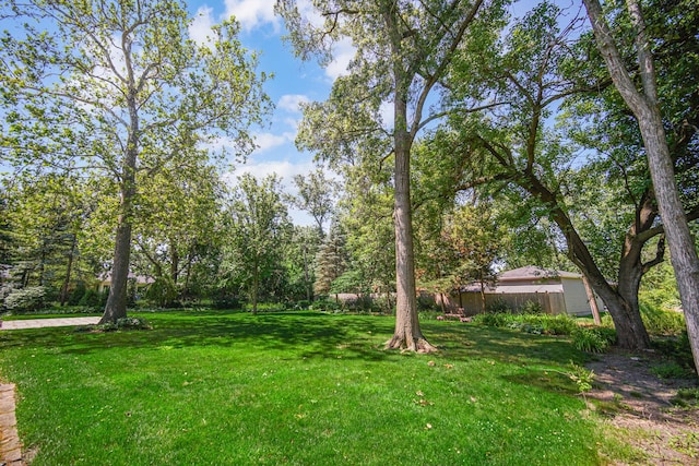 1006 Gardner Rd, Flossmoor, IL 60422 - photo 26