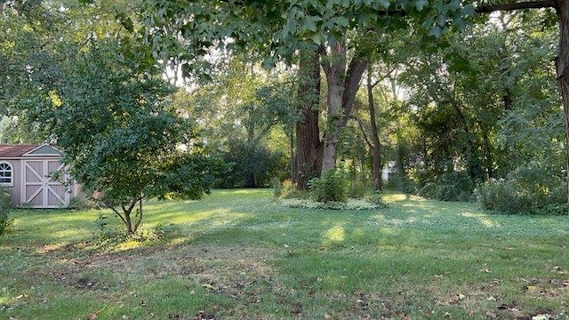 14723 Kildare Ave, Midlothian, IL 60445 - view of green lawn with a storage shed