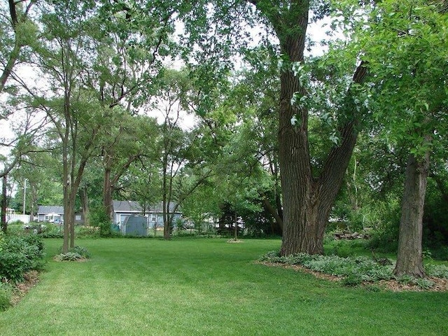14723 Kildare Ave, Midlothian, IL 60445 - view of grassy yard