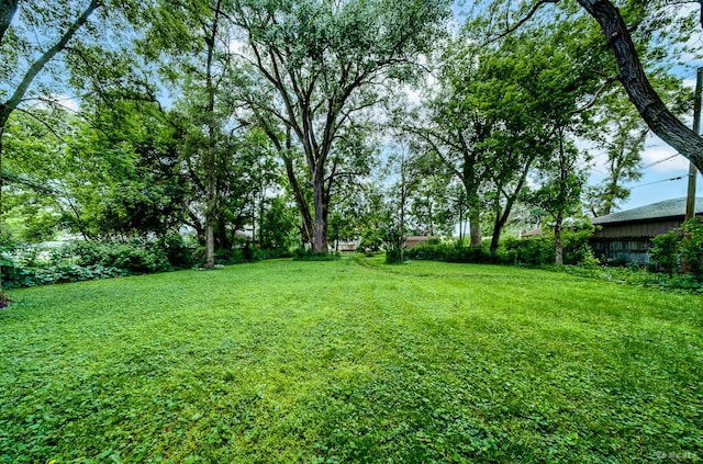 14723 Kildare Ave, Midlothian, IL 60445 - view of yard