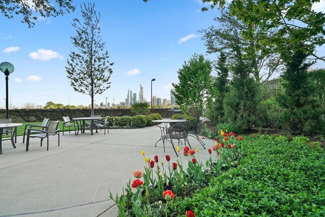 155 N Harbor Dr Unit 3214, Chicago, IL 60601 - photo 21