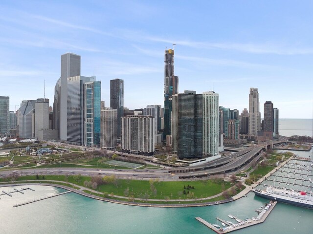 155 N Harbor Dr Unit 3214, Chicago, IL 60601 - photo 22