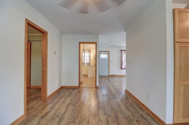 1806 New High St, Rock Falls, IL 61071 - hallway with light wood-style flooring and ornamental molding