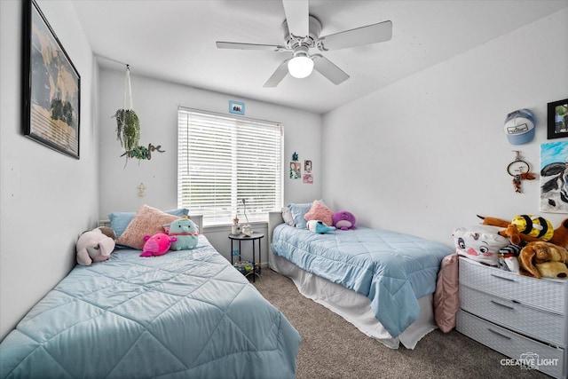 189 Cross St, Sugar Grove, IL 60554 - bedroom featuring carpet floors and ceiling fan