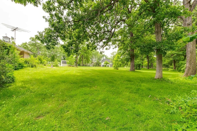 38W333 Oakwood Dr, Saint Charles, IL 60175 - view of grassy yard