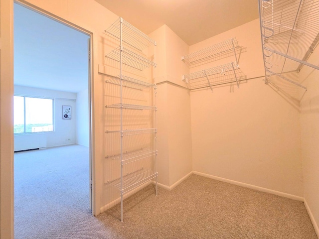 6833 N Kedzie Ave Unit 816, Chicago, IL 60645 - walk in closet with carpet floors