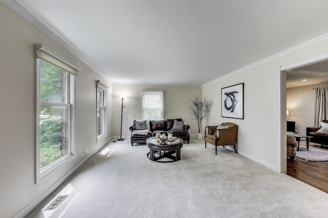 4116 N Terramere Ave, Arlington Heights, IL 60004 - living room with carpet floors, plenty of natural light, and crown molding
