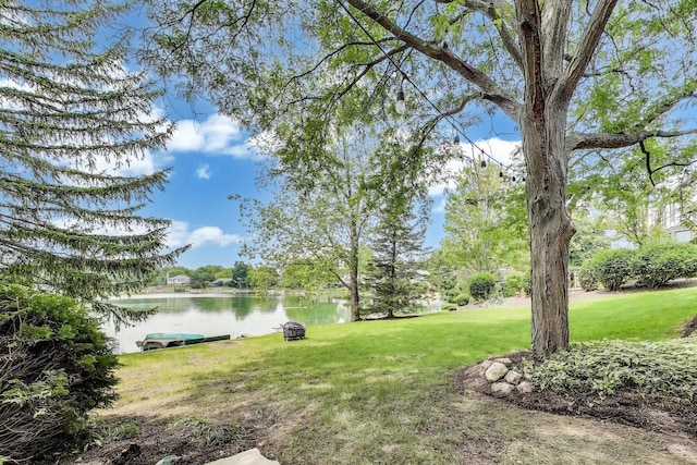 4116 N Terramere Ave, Arlington Heights, IL 60004 - view of green lawn featuring a water view