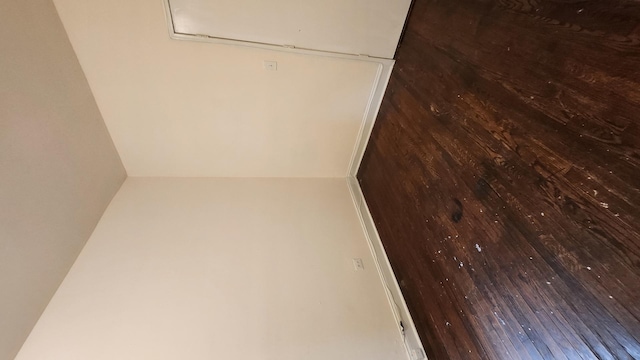 6938 S Michigan Ave, Chicago, IL 60637 - view of closet