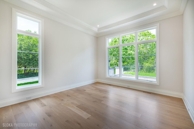 219 Lincoln Dr, Glencoe, IL 60022 - spare room featuring ornamental molding, wood finished floors, and a raised ceiling