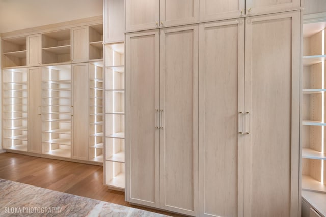 219 Lincoln Dr, Glencoe, IL 60022 - view of closet