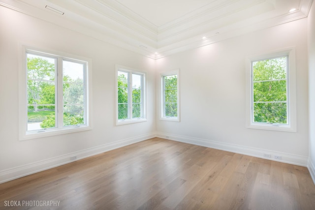 219 Lincoln Dr, Glencoe, IL 60022 - spare room with crown molding, light wood-type flooring, plenty of natural light, and a tray ceiling