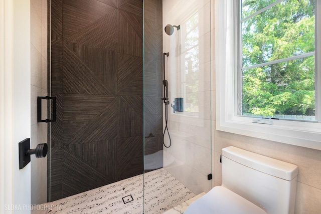 219 Lincoln Dr, Glencoe, IL 60022 - bathroom featuring a walk in shower and toilet
