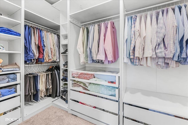 4327 Conifer Rd, Naperville, IL 60564 - walk in closet with carpet flooring