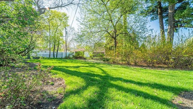 531 E Joliet St, Crown Point, IN 46307 - view of yard
