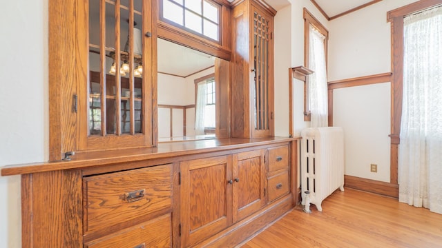 531 E Joliet St, Crown Point, IN 46307 - detailed view of radiator heating unit, crown molding, and wood finished floors