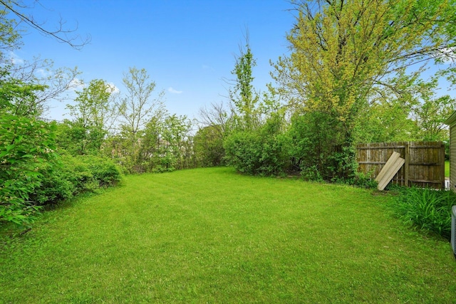 202 Allegheny St, Park Forest, IL 60466 - view of yard