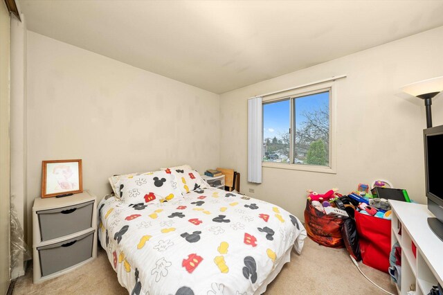 3 Lorraine Ave, Woodridge, IL 60517 - view of carpeted bedroom
