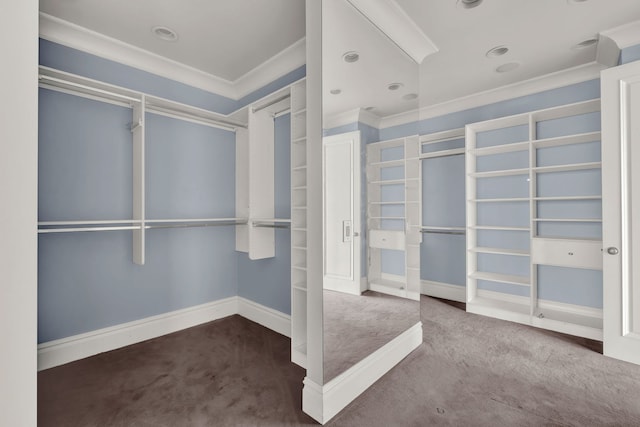 545 W Aldine Ave Unit 6E, Chicago, IL 60657 - walk in closet with carpet floors