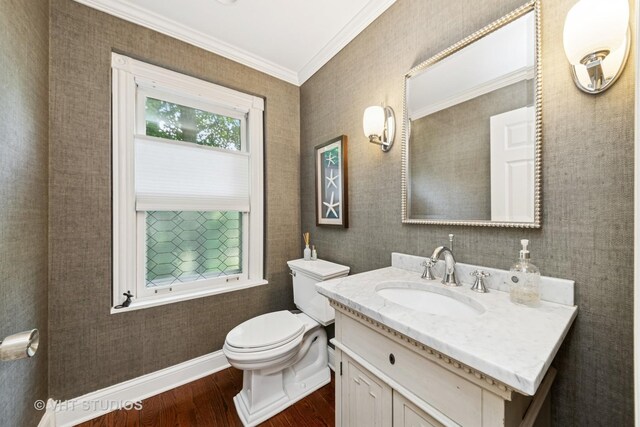 571 N Main St, Glen Ellyn, IL 60137 - bathroom featuring wood finished floors, ornamental molding, and vanity